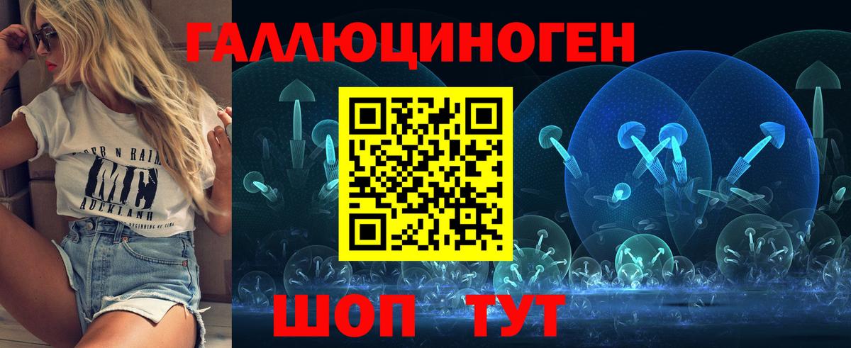 Жуковский  Псилоцибиновые грибы Psilocybe  Галлюциногенные грибы MAGIC MUSHROOMS  Вход с VPN 