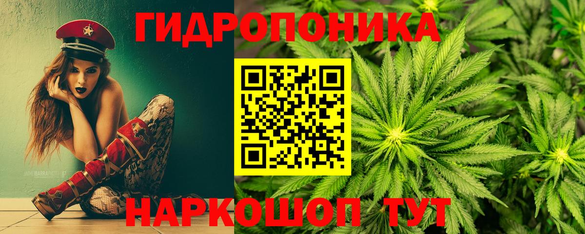 Канабис White Widow  Вход с VPN  Каннабис VHQ  Жуковский  Канабис LSD WEED 